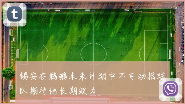 锡安在鹈鹕未来计划中不可动摇球队期待他长期效力